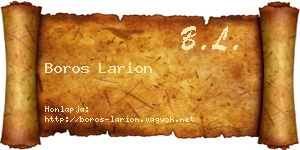 Boros Larion névjegykártya